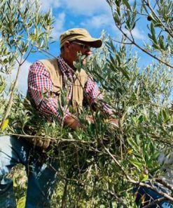 Olio 2023 secondo natura extrasalutistico