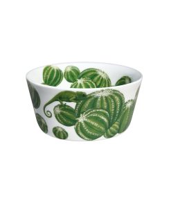 Taitù Cactus Ciotola Piccola