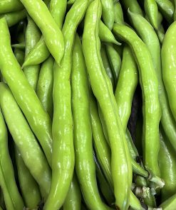 Fave Fresche Siciliane in Baccello