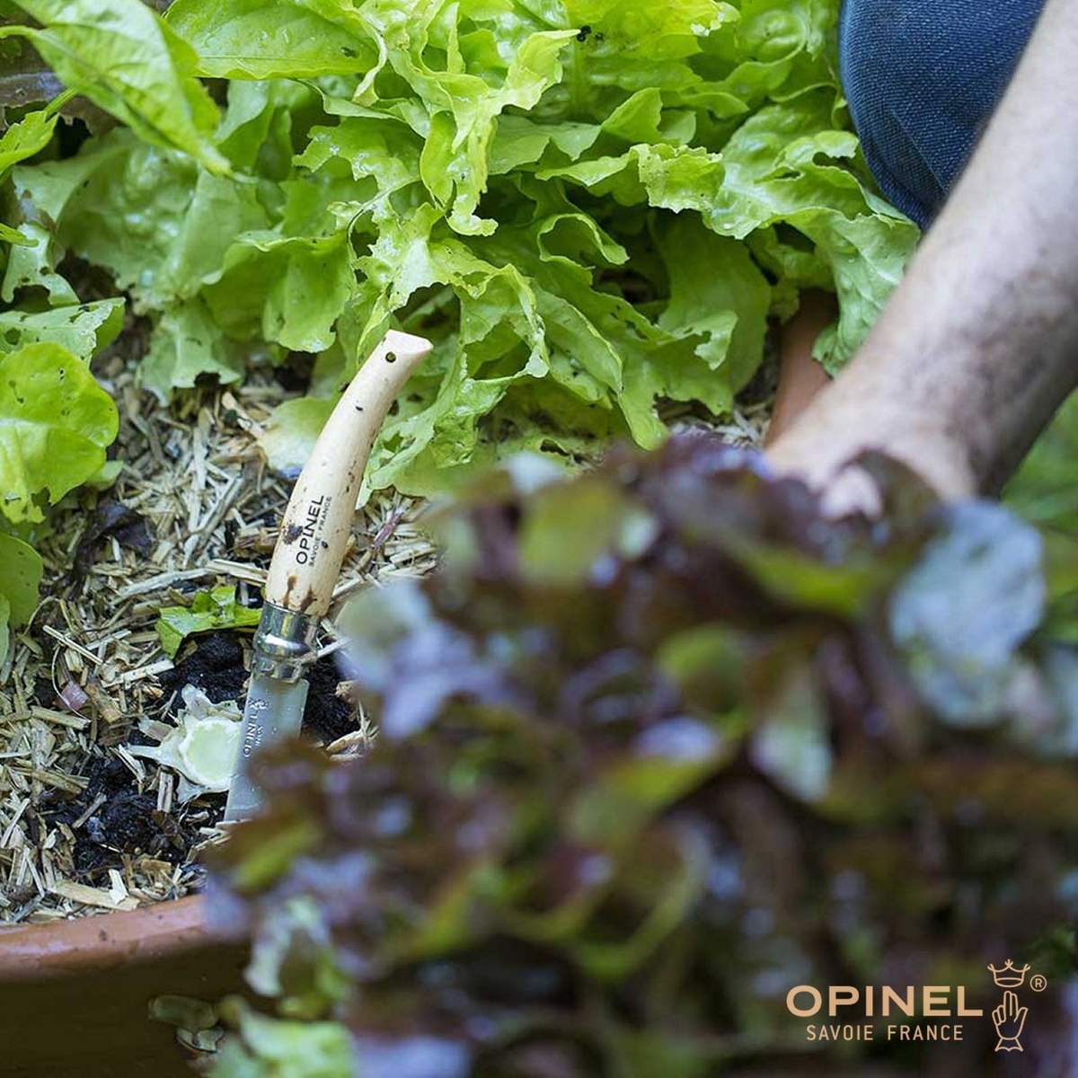 Coltello Opinel N°8 da giardino con lama da 8,5 cm O-133080 - immagine 4