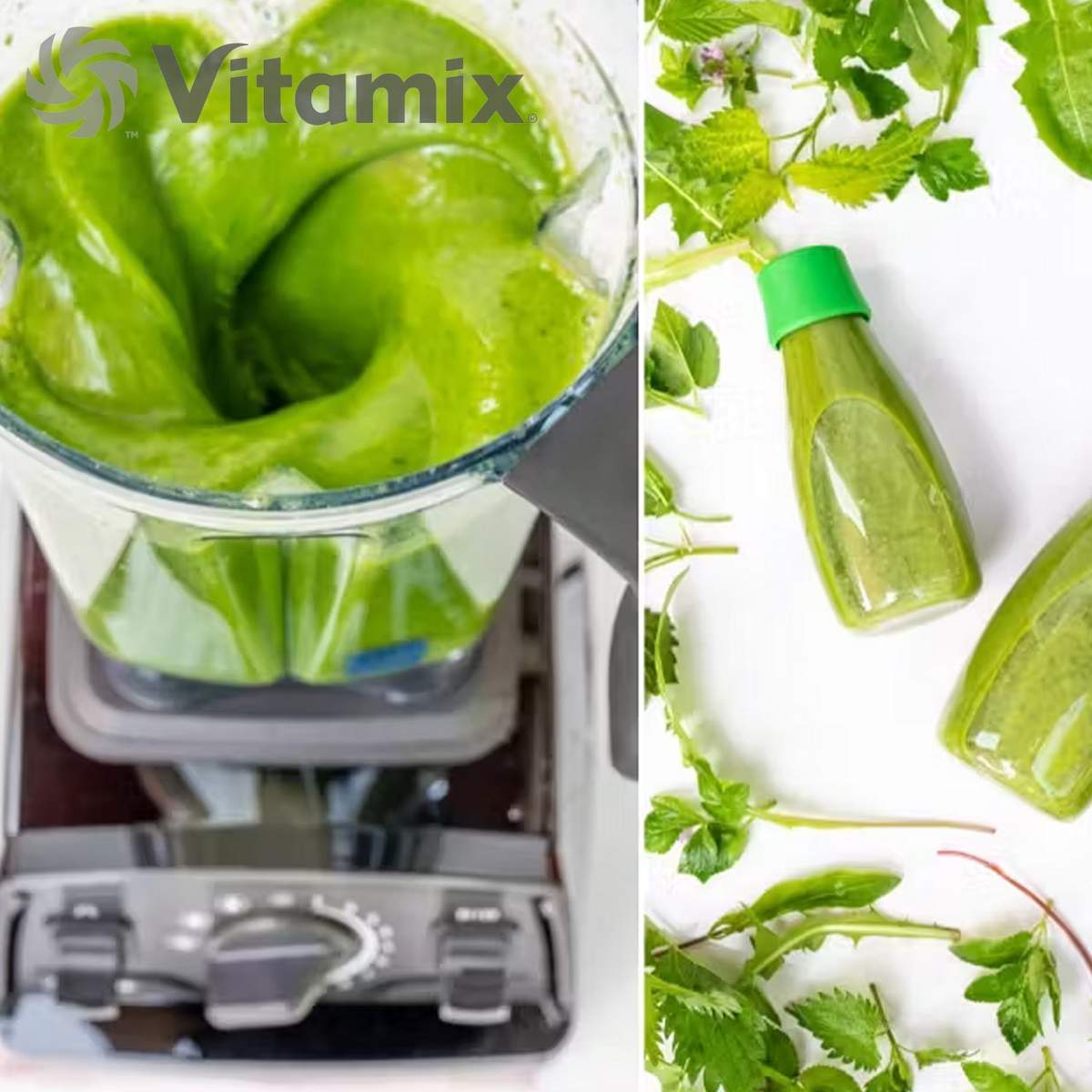 Frullatore Vitamix Explorian 520 BK VTX E520 BK - immagine 7