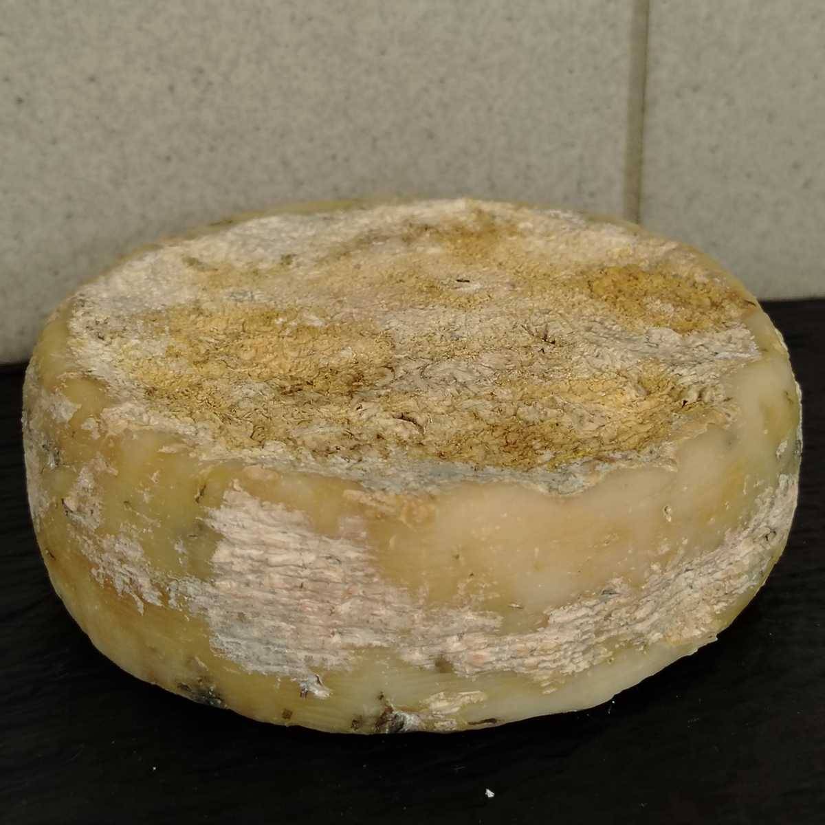 Caciotta Biologica di Latte di Capra – All’Erba Cipollina - immagine 2