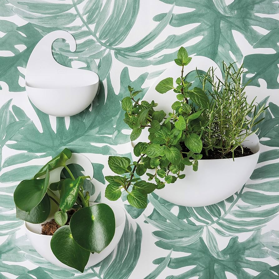 Koziol Porta Oggetti Surf XL - immagine 6