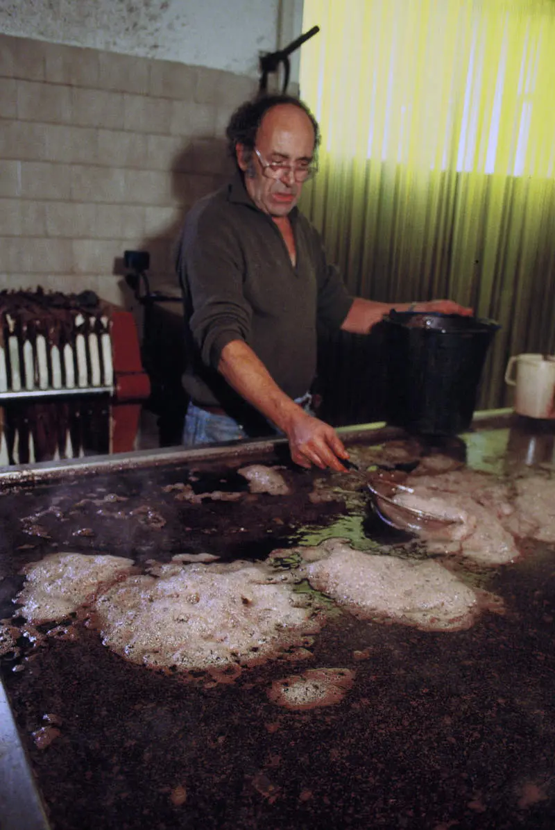 Aceto Balsamico di Modena IGP – Serie Bronzo – Biodinamico 250ml - immagine 3