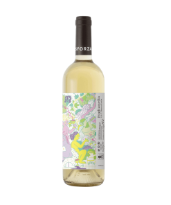 Marinferno – Foglianella