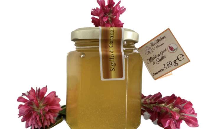 Miele dai fiori di sulla
