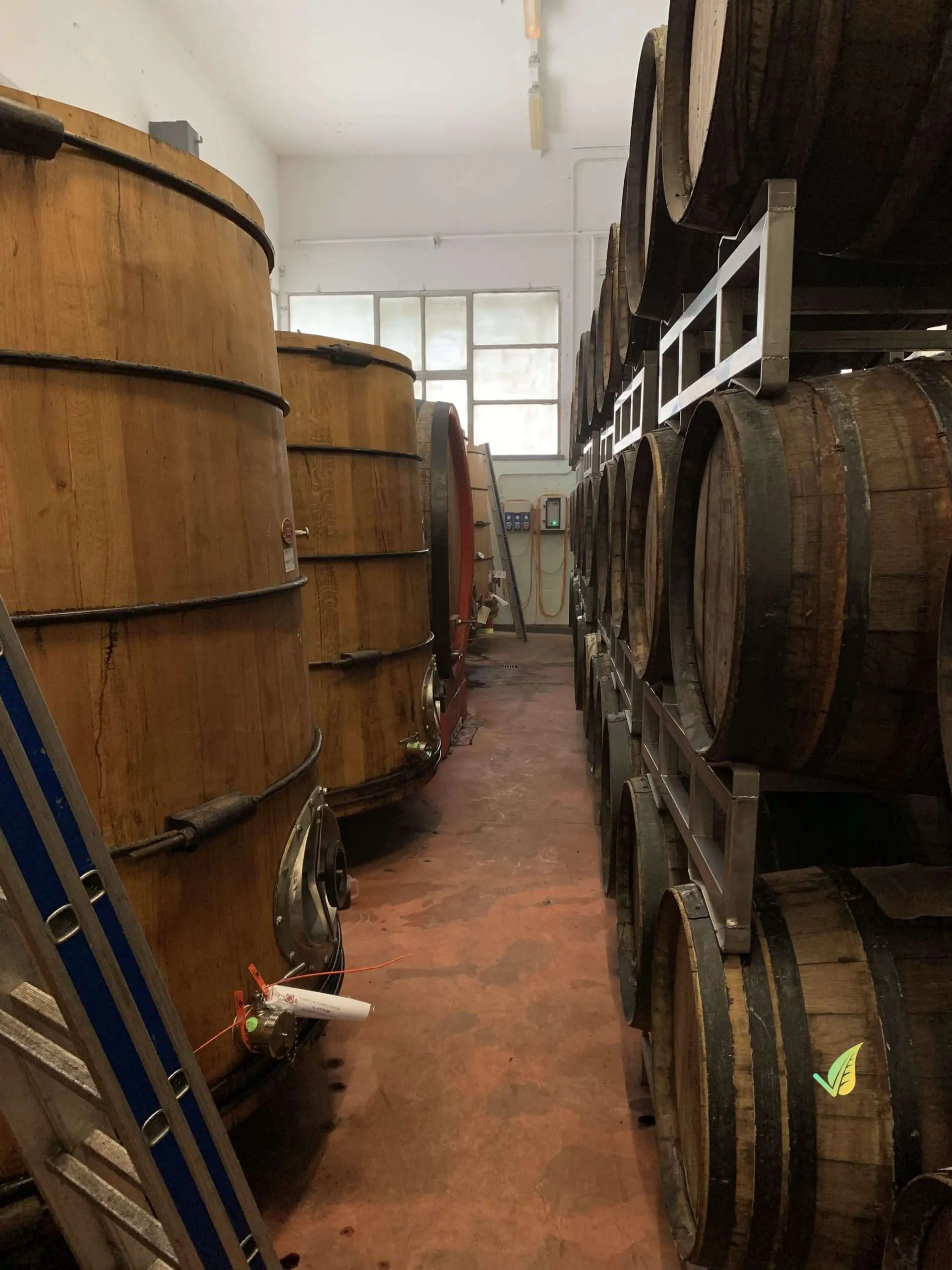 Aceto Balsamico di Modena Monovitigno IGP 250ml - immagine 8