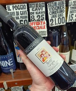 Pecchenino Langhe Nebbiolo Bricco Botti