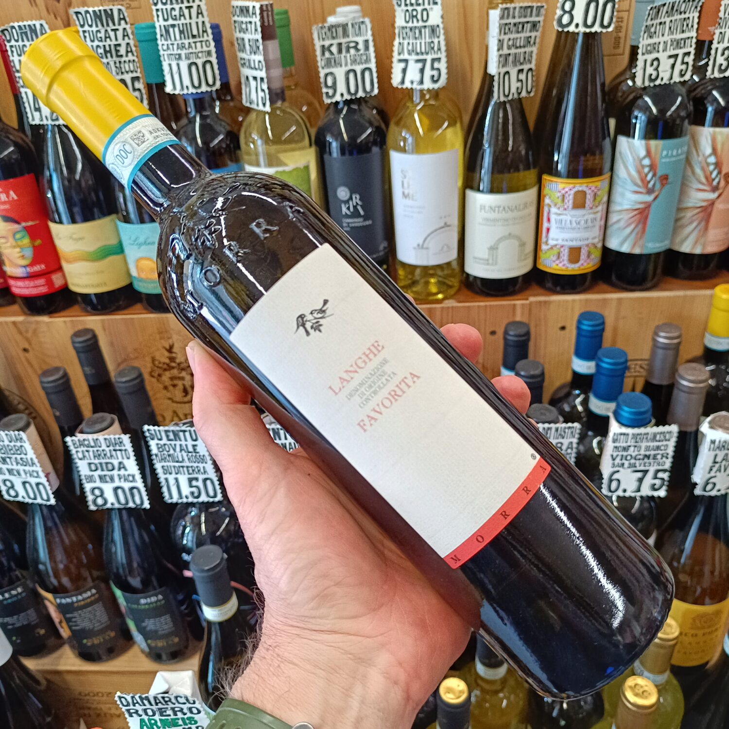 Morra Langhe Favorita