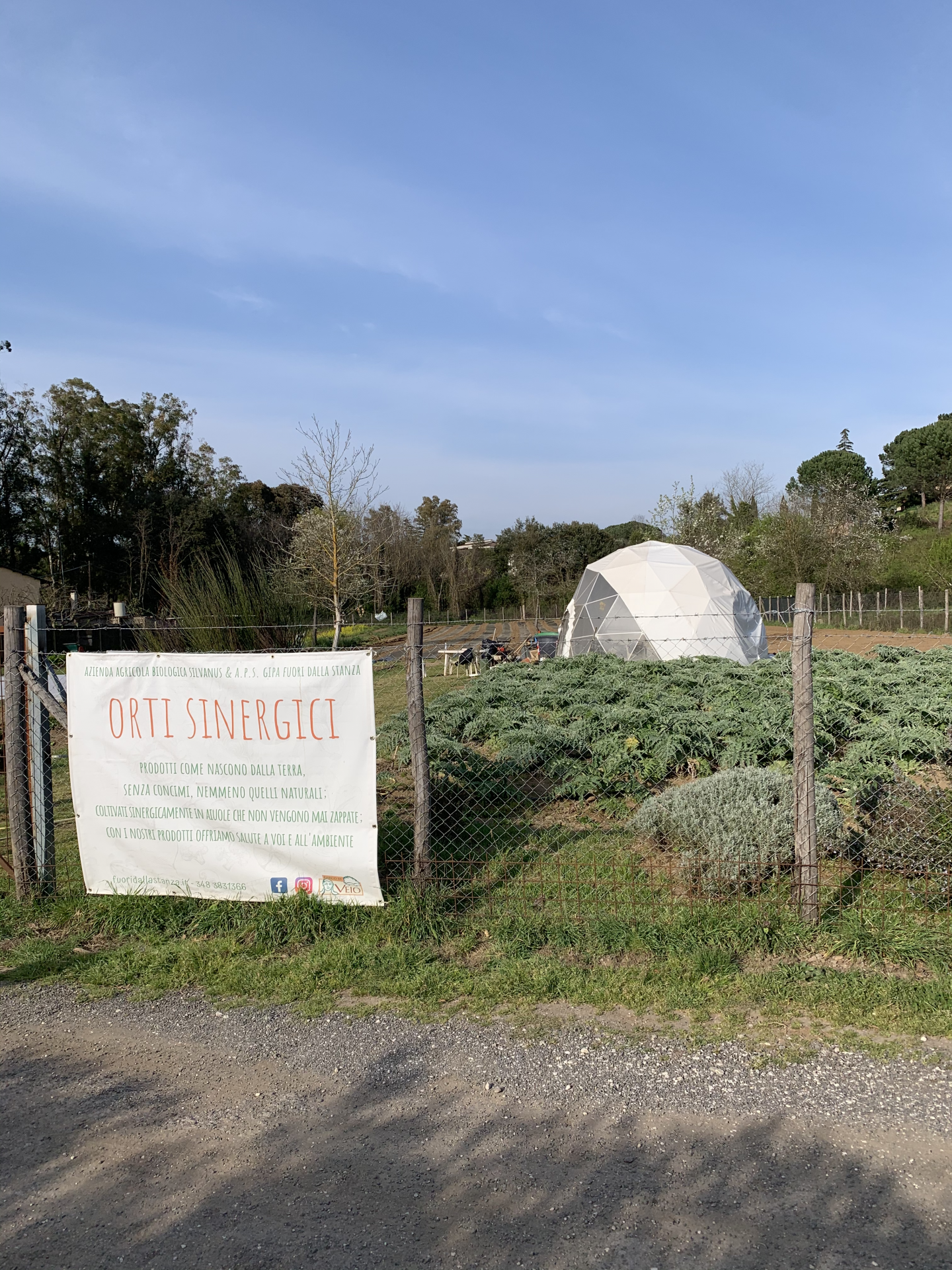 Canasta Biologica 600g - immagine 3