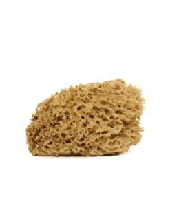 SPUGNA ARCIPELAGO LAVATA VISO-CORPO cose della natura