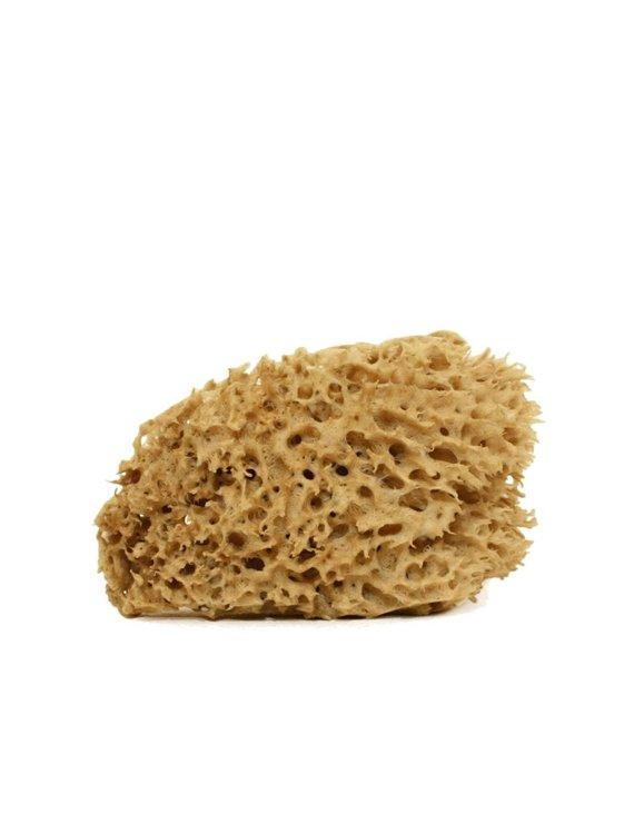 SPUGNA ARCIPELAGO LAVATA VISO-CORPO cose della natura - immagine 2