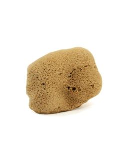 SPUGNA DI MARE FINE DAMA SBIANCATA VISO/CORPO cose della natura