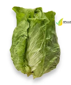 Pan di Zucchero 800g