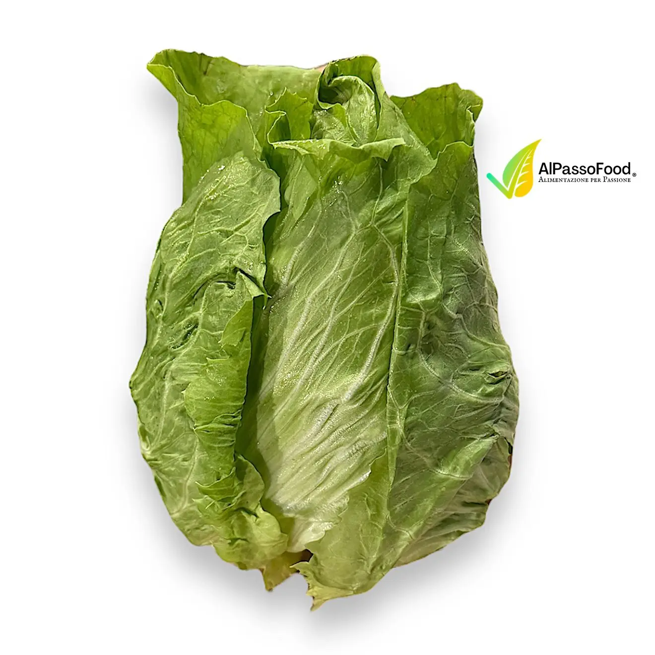 Pan di Zucchero 800g - immagine 2