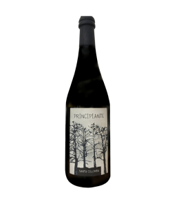 Santa Colomba – Principiante 2021