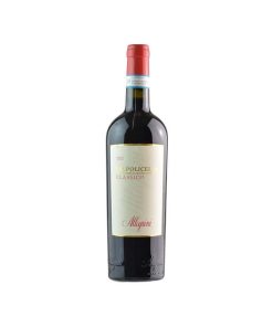 Valpolicella Classico Allegrini DOC