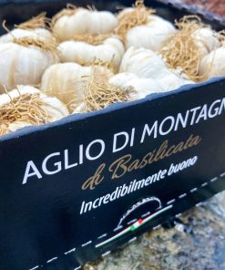 Box aglio di Montagna 2,80 kg