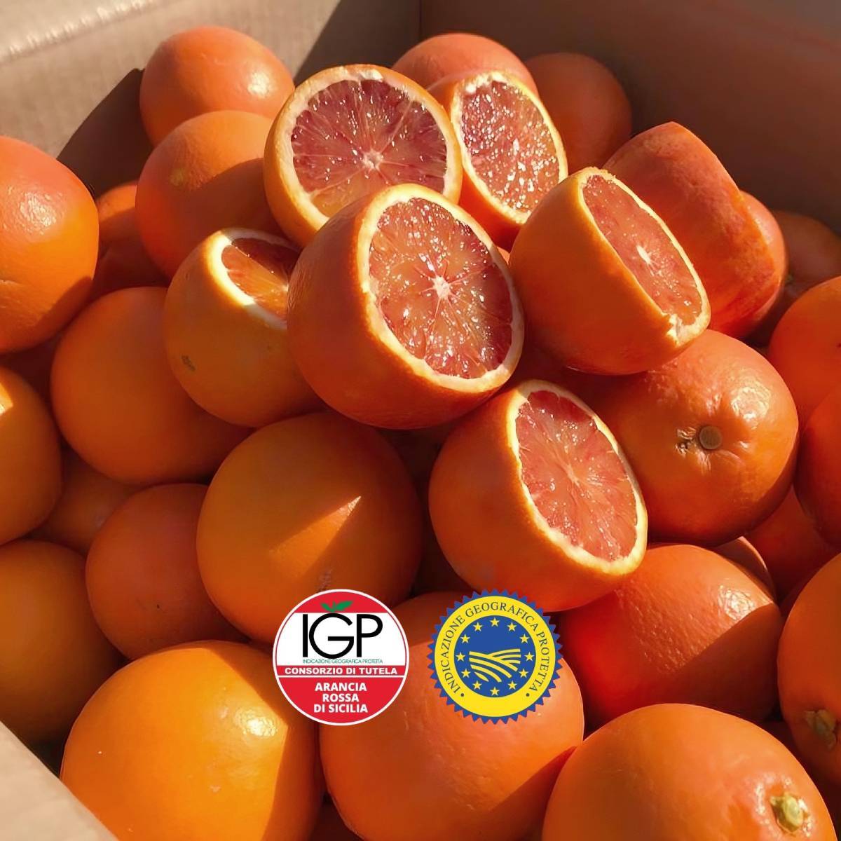 Arance Tarocco Gallo IGP di Sicilia (da Spremuta) - immagine 2