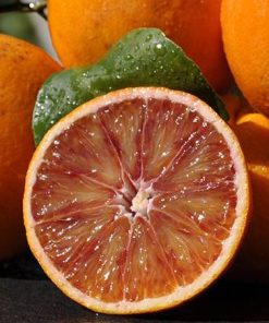 Box Arance Tarocco Gallo (da tavola)