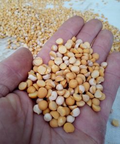 Ceci bianchi decorticati