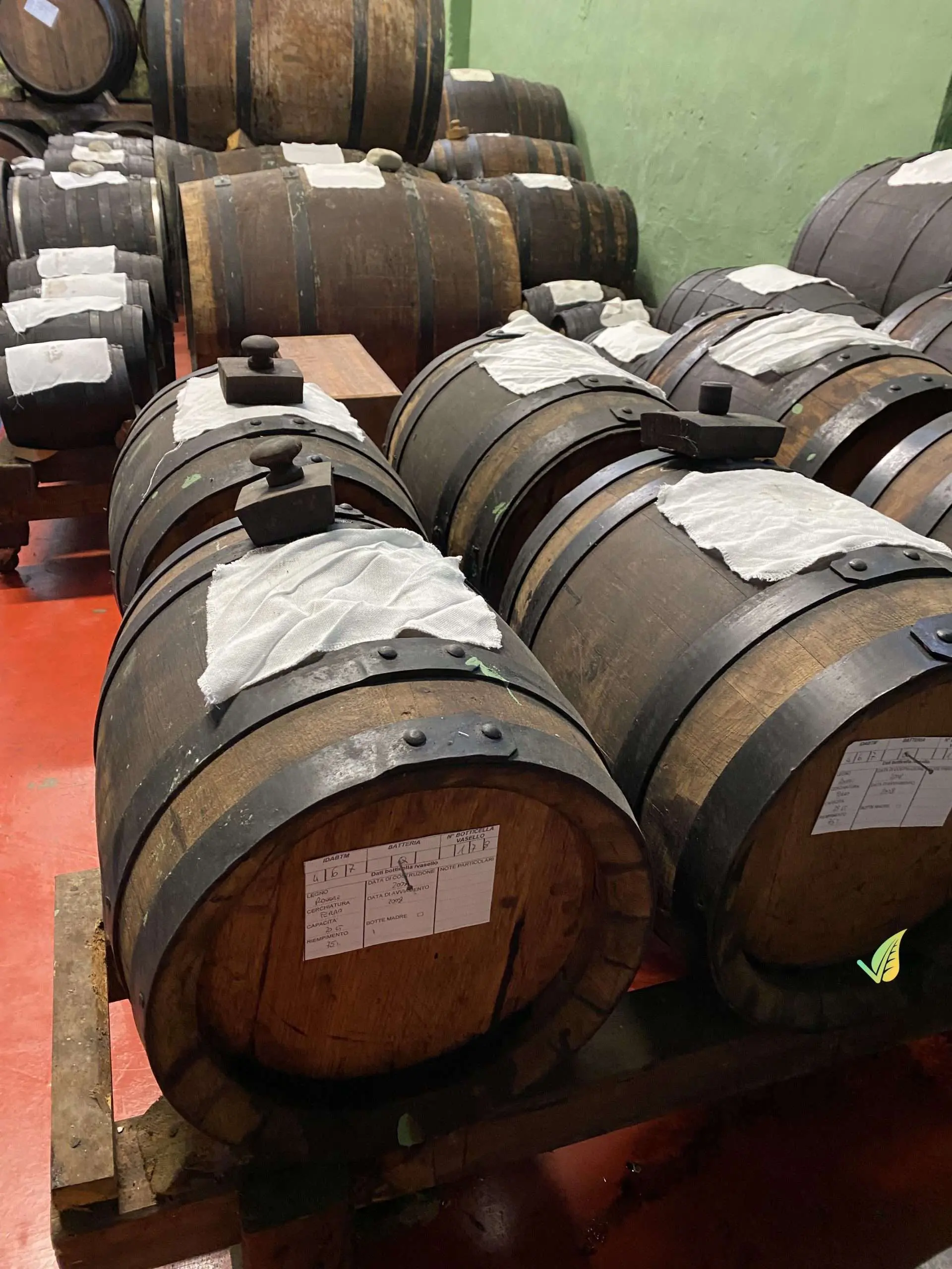 Aceto Balsamico di Modena Monovitigno IGP 250ml - immagine 6