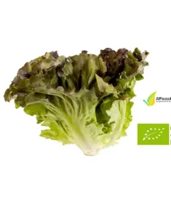 Canasta Biologica 600g