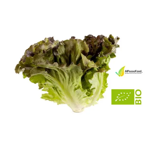 Canasta Biologica 600g - immagine 2