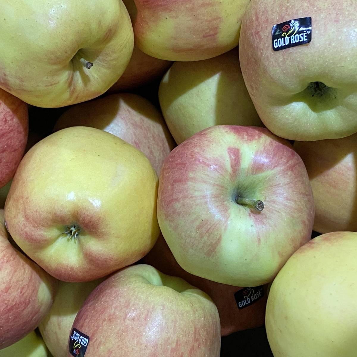 Mela rose’ - immagine 2