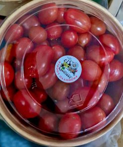 Pomodoro datterino rosso in vaschetta