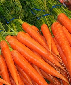 Carota Fresca Siciliane