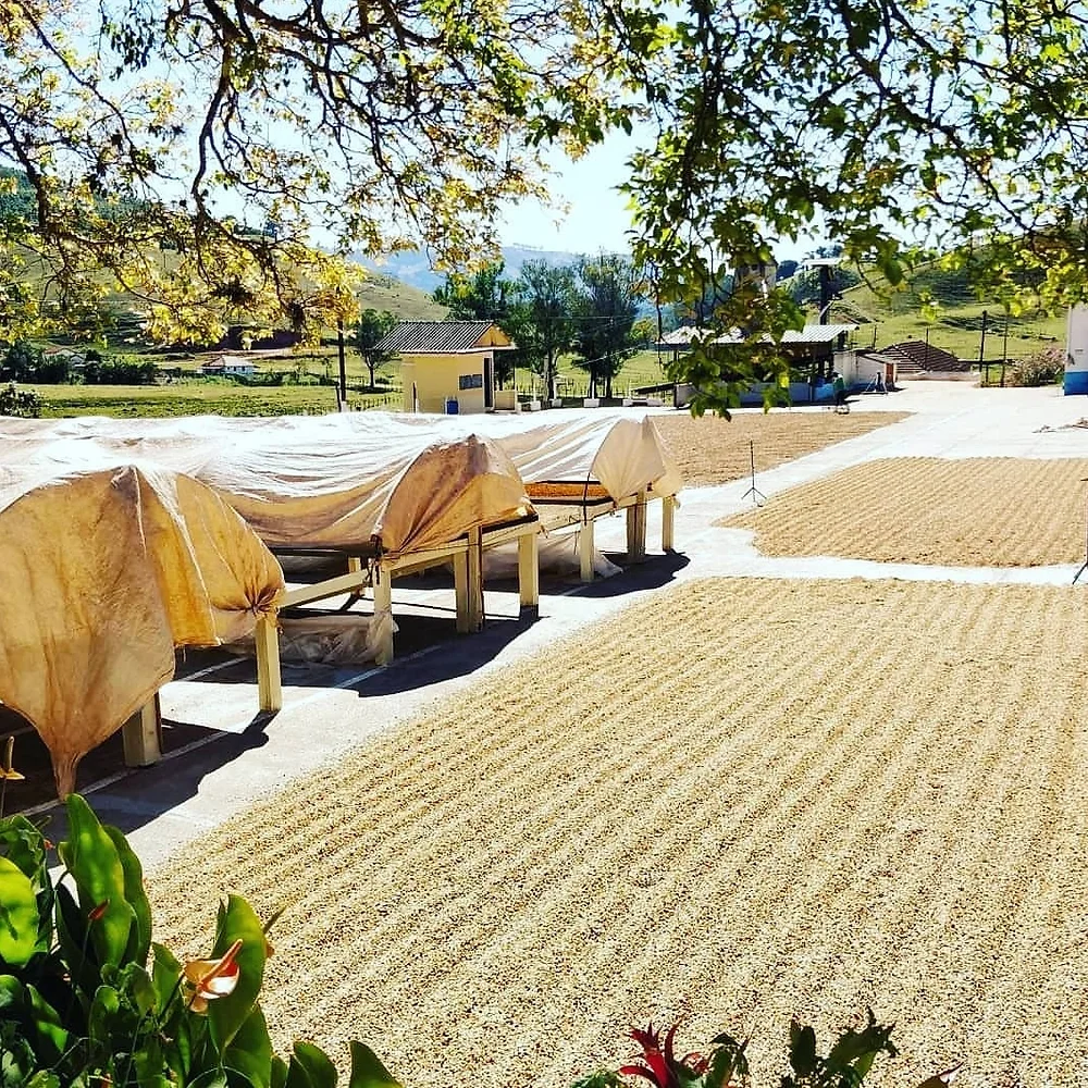 Arabica Unico Brazil & Perù Blend 250g - immagine 4