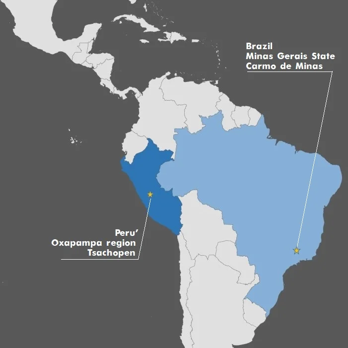 Arabica Unico Brazil & Perù Blend 250g - immagine 5