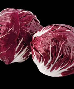 Radicchio tondo