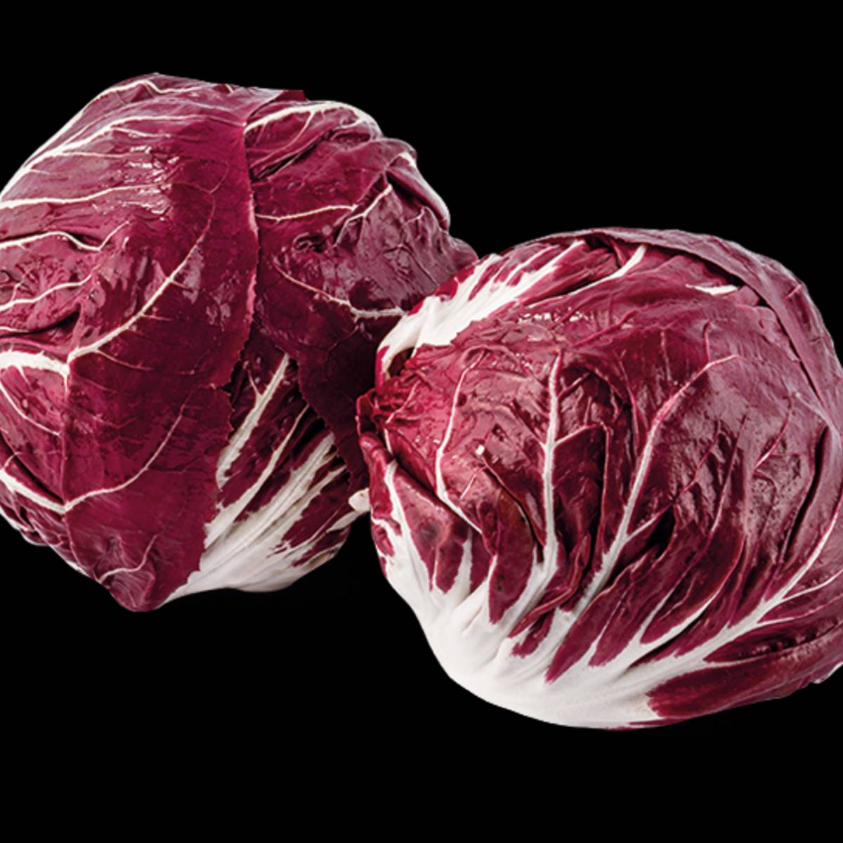 Radicchio tondo - immagine 2