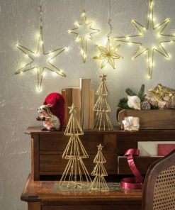 L’Oca Nera Luminose Stelle