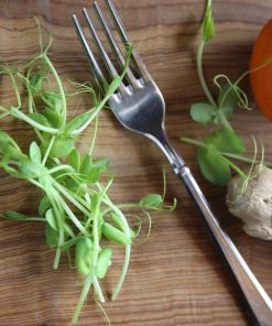 Microgreens di pisello