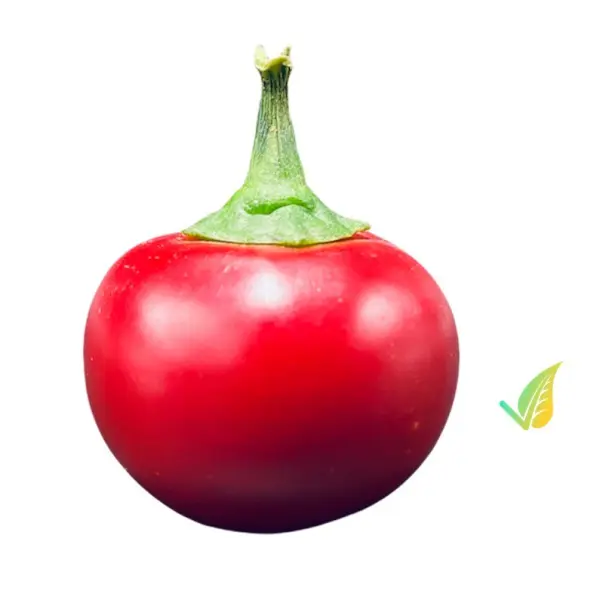 Peperoncino Tondo Rosso Calabrese 250g - immagine 2