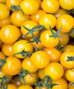Pomodorino ciliegino giallo