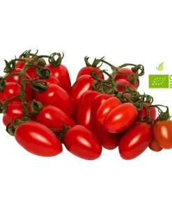 Pomodoro Datterino Biologico 500g