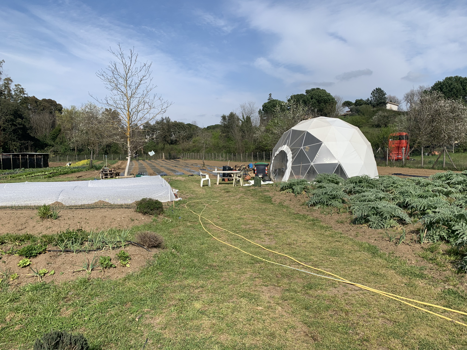 Canasta Biologica 600g - immagine 4